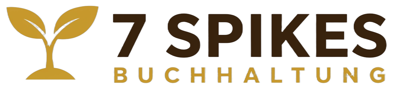 7 Spikes Buchhaltung